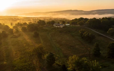 The 17 Best Catskills Hotels (and Motels) for an Upstate NY Getaway